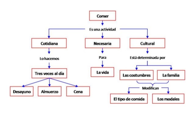 diagrama jerárquico pdf