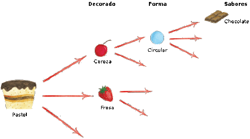 paso paso diagrama arbol
